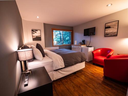 Junior Queen Room (No Kids or Pets)