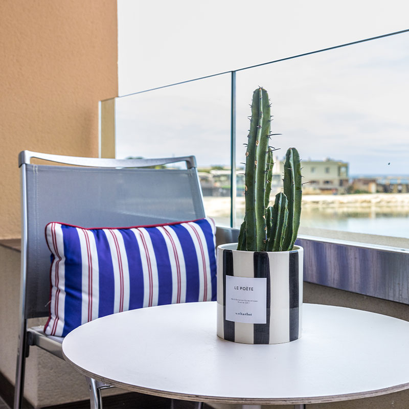 Duplex Suite