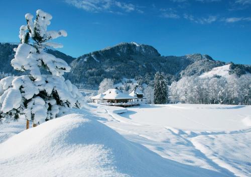 Executive Double Room with Christmas Package
