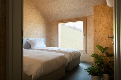Suite Chalet