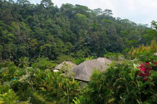  One Bedroom Ubud Pool Villa.