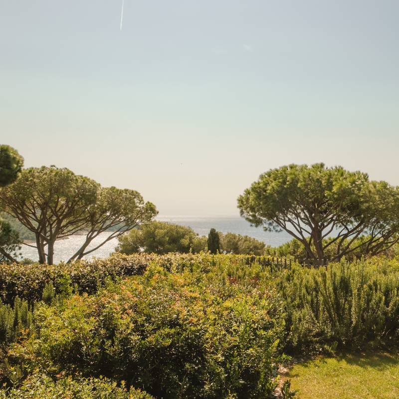 Deluxe Sea View Room & Private garden