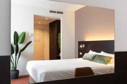 Comfy Double Room