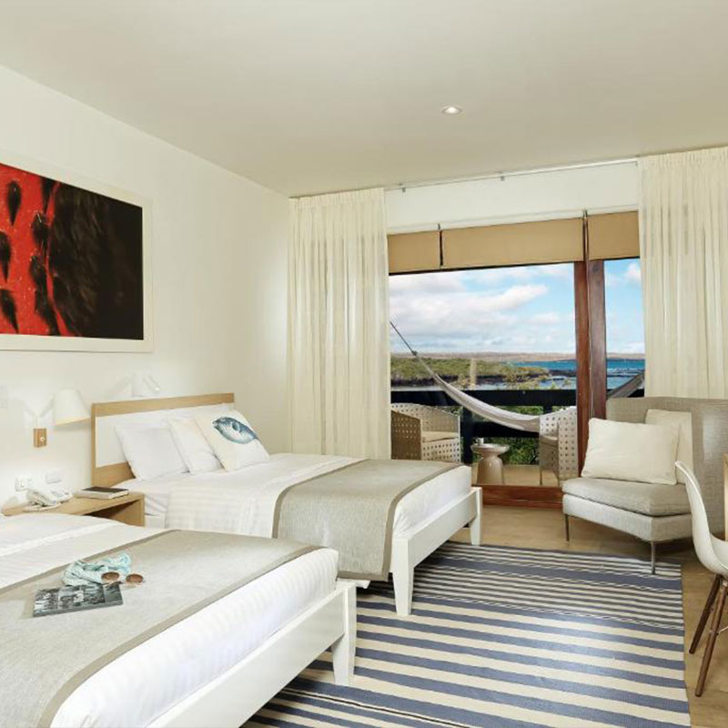Twin Suite