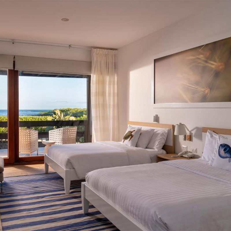 Twin Suite