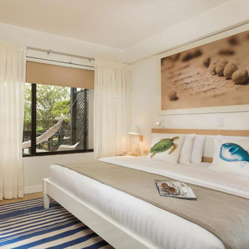 King Room