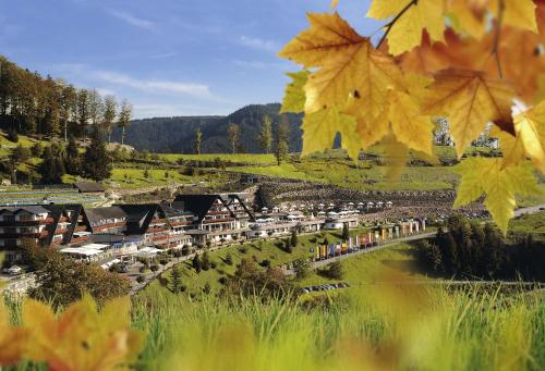 Double Room with Valley View