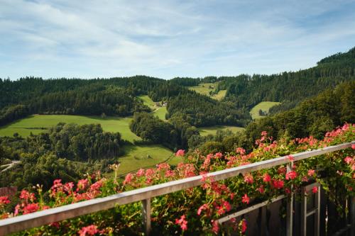 Luxury Suite with Valley View