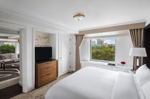 Park View Suite