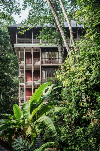 Canopy Suite