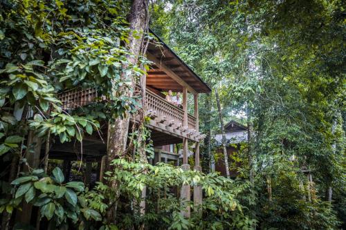 Staycation Package: Rainforest Villa King or Twin [Malaysia Residents]