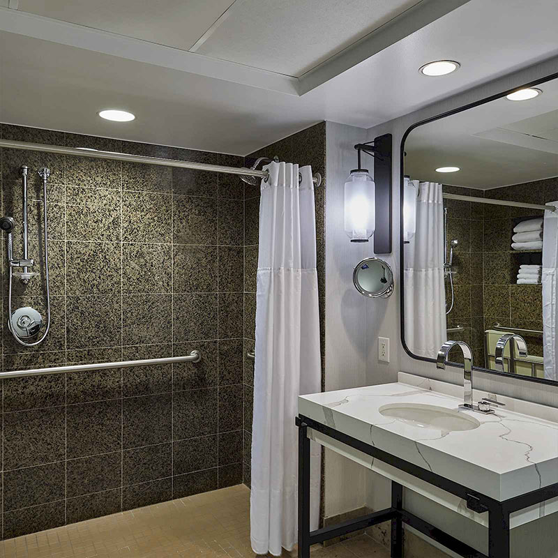 Deluxe King Roll-In Shower