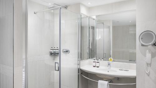 Signature King Suite