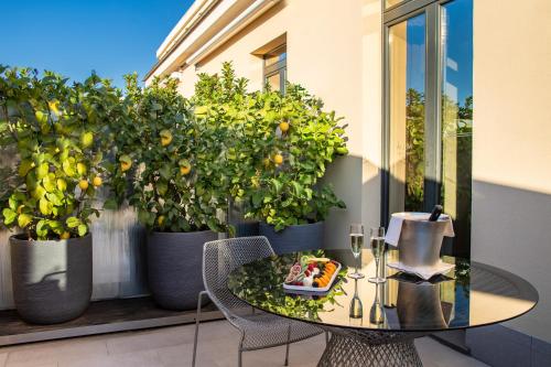 Supreme Room with Terrace and Spa Access