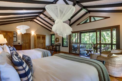 Double Queen Jungle Suite