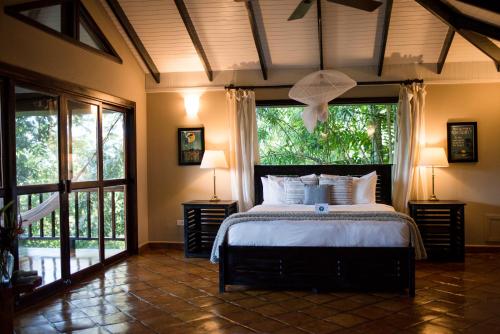 King Jungle Suite
