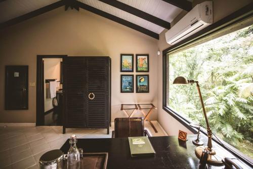 King Jungle Suite