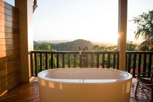 Signature Canopy Suite