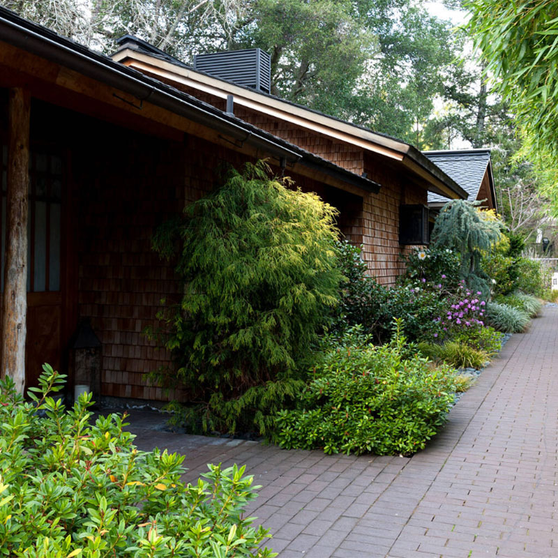 Ryokan Zen Studio