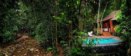 Rainforest Pool Villa King (Malaysia Resident Offer)