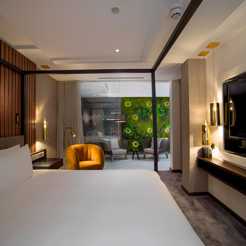 Suite