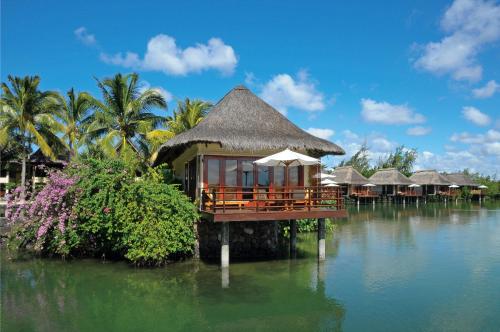 Junior Suite on Stilts