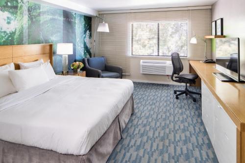 Deluxe Room, King