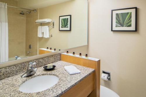 Deluxe Room, King