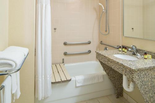 Deluxe Room King, Accessible