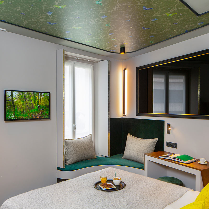 Deluxe Double or Twin Room