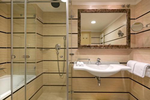 Premium Park View Room with King bed