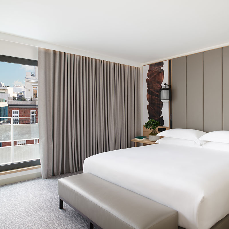 Zen Suite