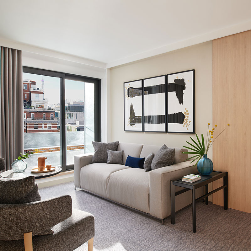 Zen Suite