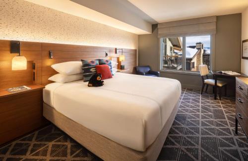 One Bedroom Suite