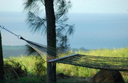  King Suite with Partial Ocean View