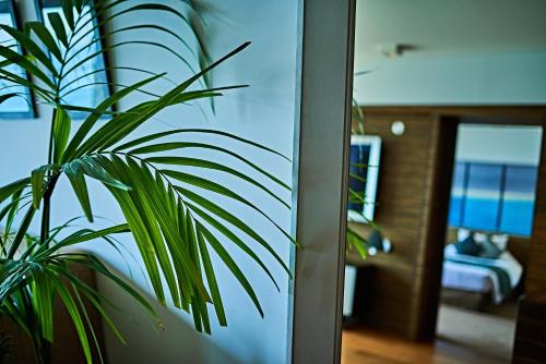 Superior Twin Room with Ocean View