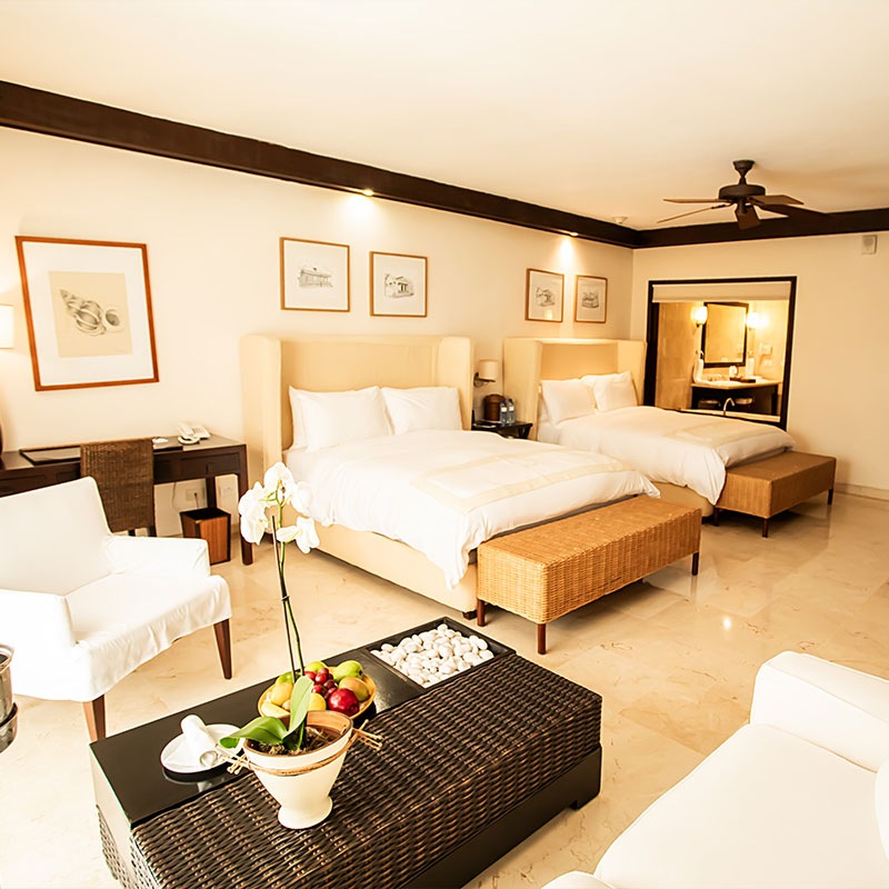 Junior Suite- Tropical View