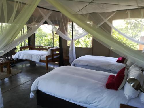 Khoka Moya Luxury Tent