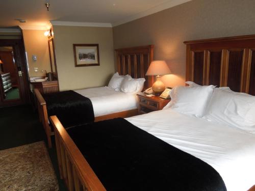 Oak Knoll- Queen Room with Two Queen Beds 