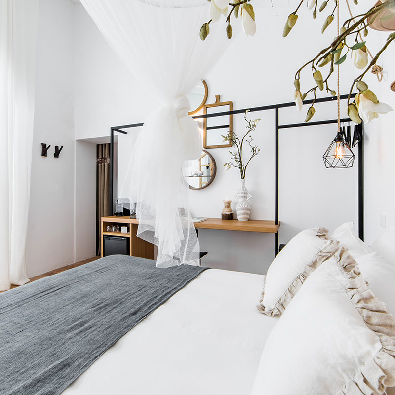 Standard Suite