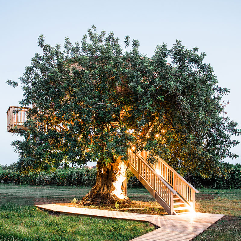 Treehouse With Private Pool
