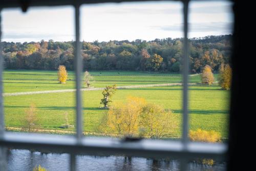 Manor House Executive, Guest room, 1 King, River view