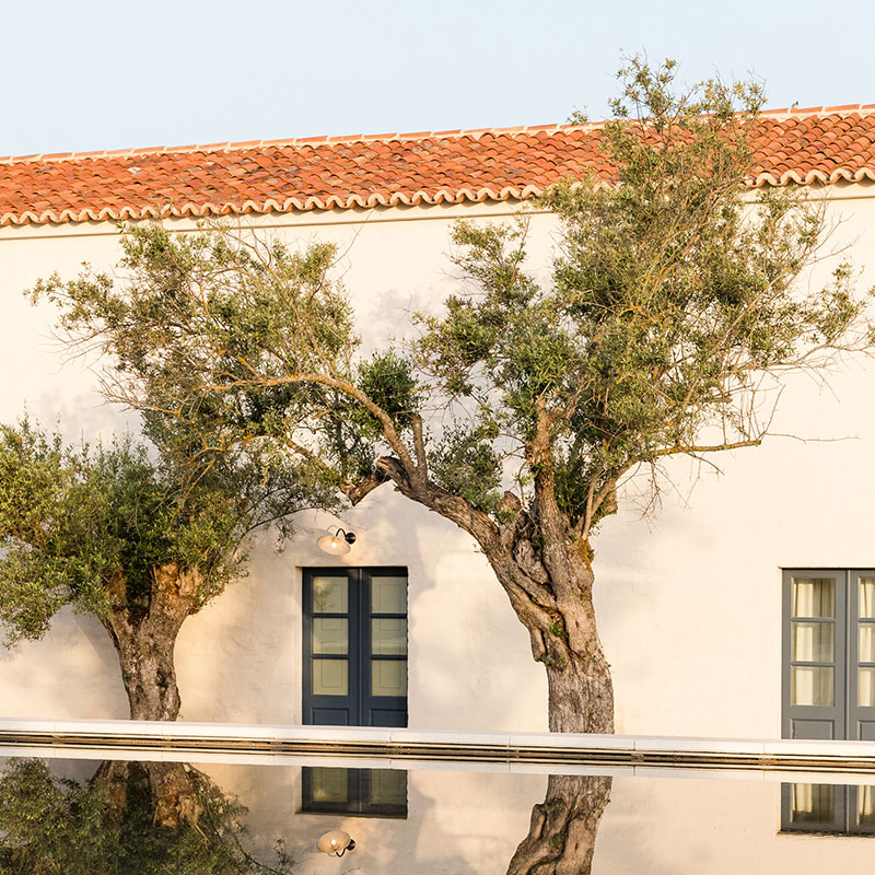 Winery Rooms