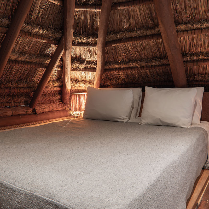 Tree Top Loft