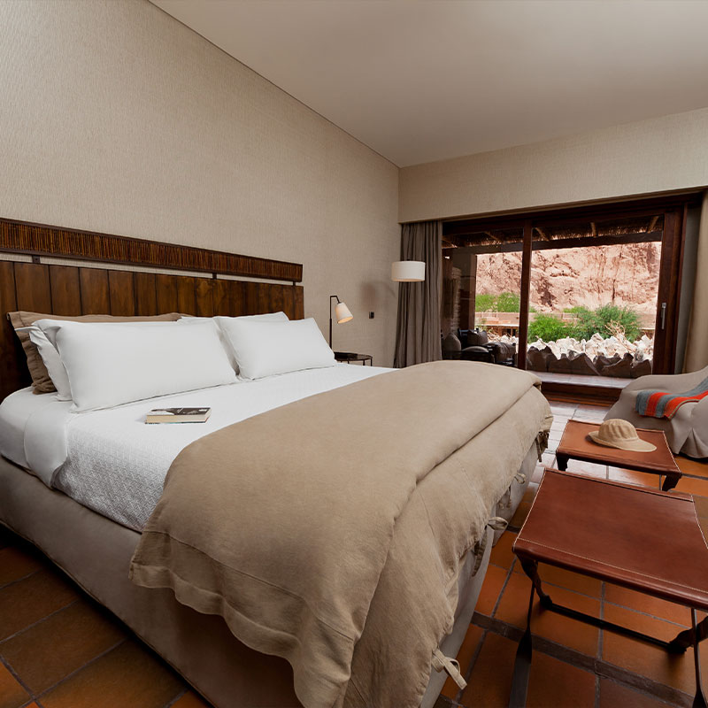 Suite with Terrace