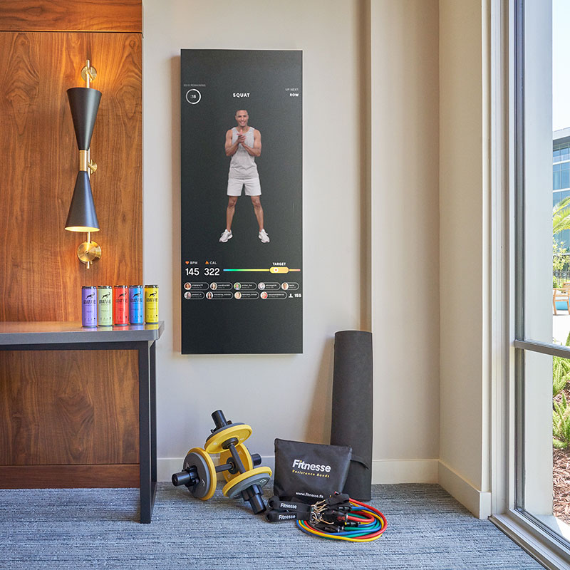 Wellness King Bed feat. Mirror Fitness