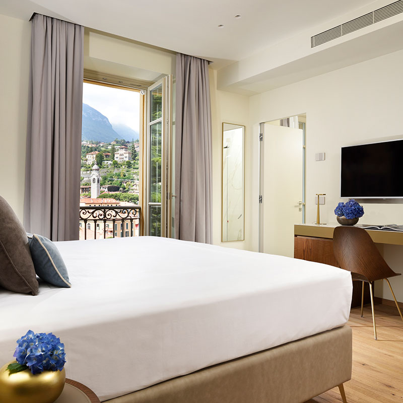 Prestige room with Park view