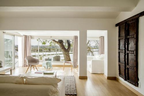 Premium Suite