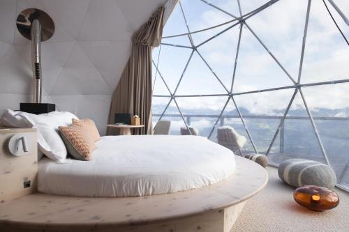 Timeless Suite