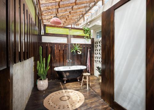 KYUKA Suite